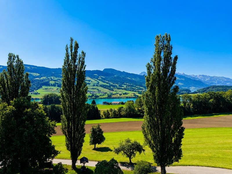 4,5 Zimmer-einzigartige Lage-Panoramablick-Garten-Terrasse (11)