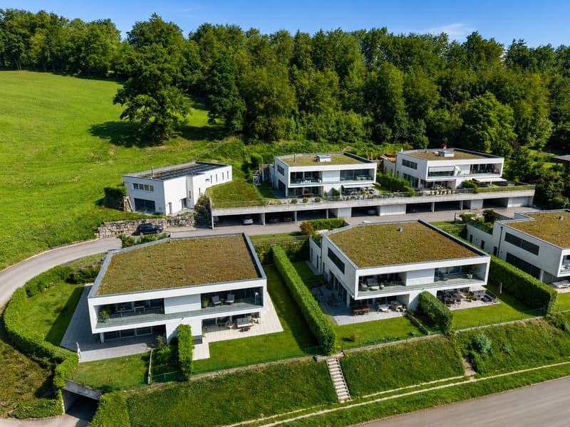 4,5 Zimmer - einzigartige Lage - Panoramablick - Garten - Terrasse (11)