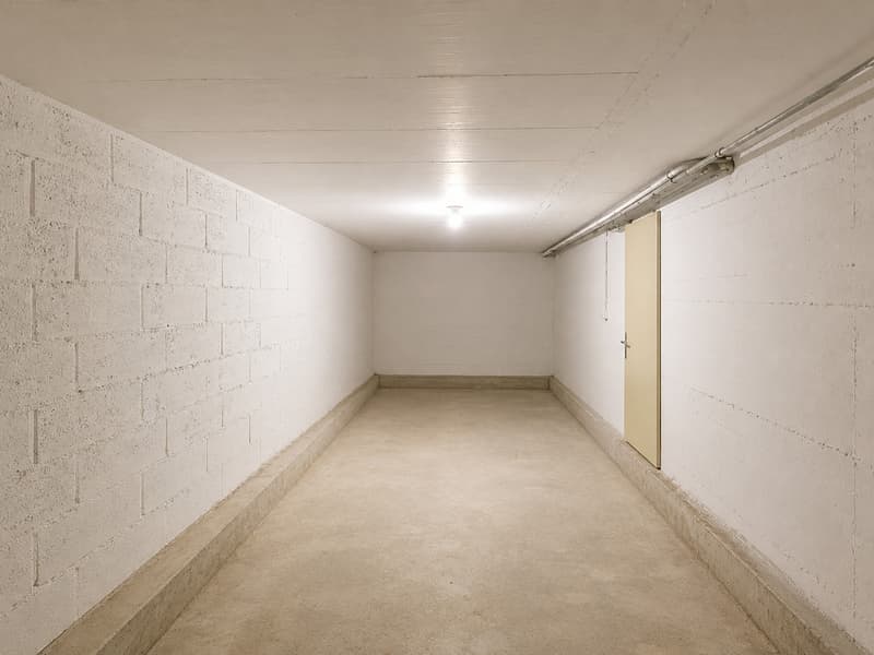 PROPRIETE D'EXCEPTION-BELLE PARCELLE-1'751m²-A SAISIR (13)
