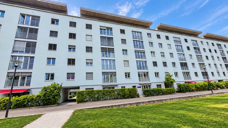 FRIBOURG, VIVRE LA VILLE, FACE À LA VERDURE-RARE-OPPORTUNITÉ (12)