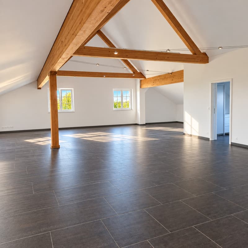 Loft actuel-vidé