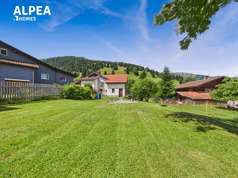 Large green lawn, three houses, fences, bushes, trees, blue sky, mountains