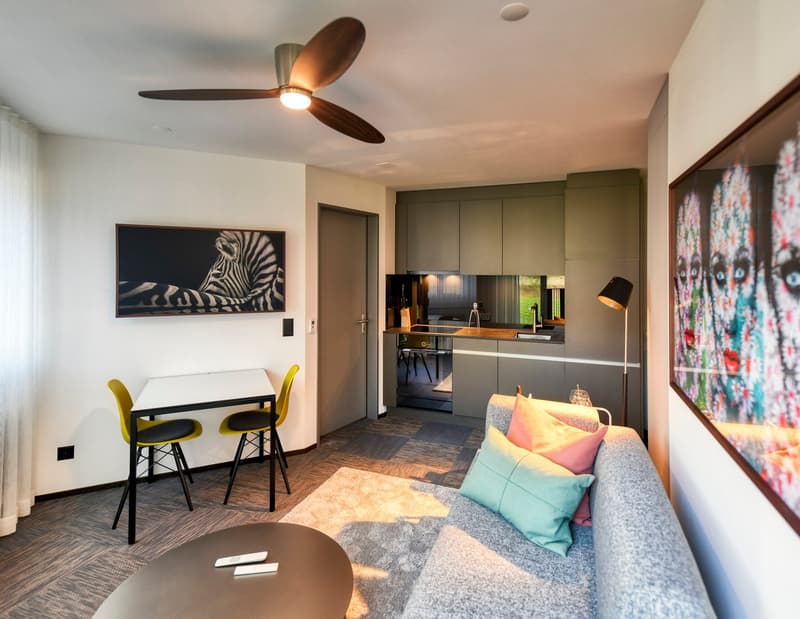 Take off in the furnished apartment "PC-2" in The Tower, Stans (9)