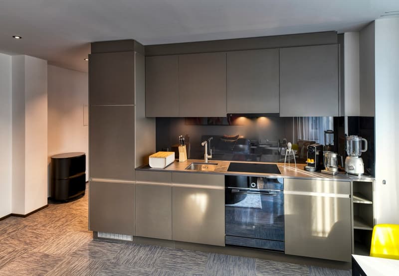 Modern kitchen with gray cabinets, stainless steel appliances including a dishwasher, and a sleek countertop with a sink and cooking area.