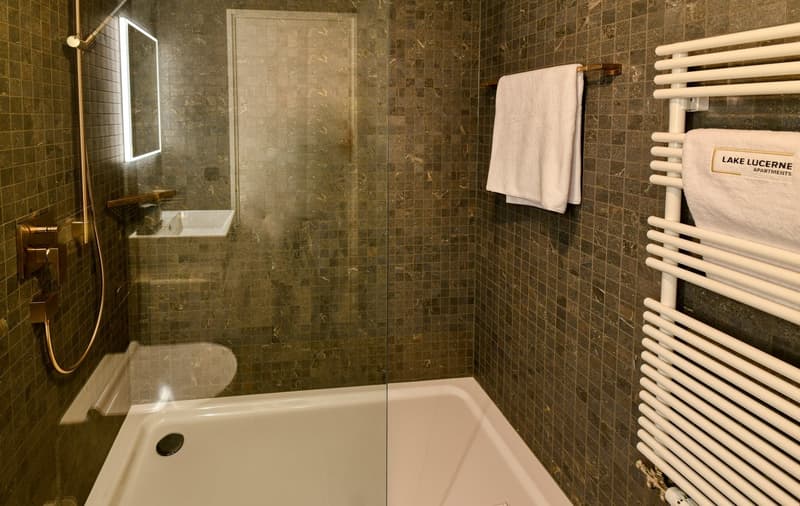 Exklusives möbliertes Apartment in der Villa Felsenau in Hergiswil am See (10)
