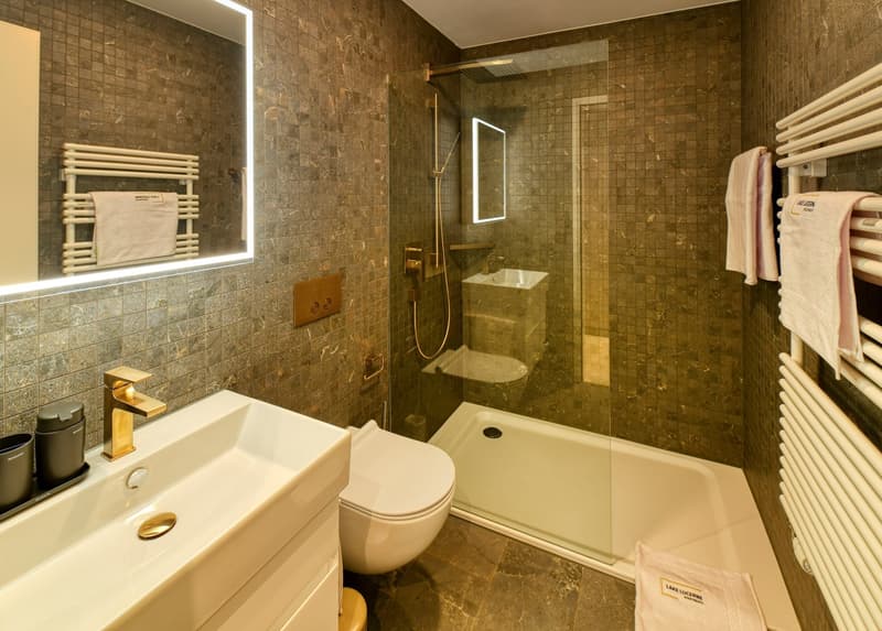 Exkl. möbliertes Apartment in der Villa Felsenau in Hergiswil am See (11)