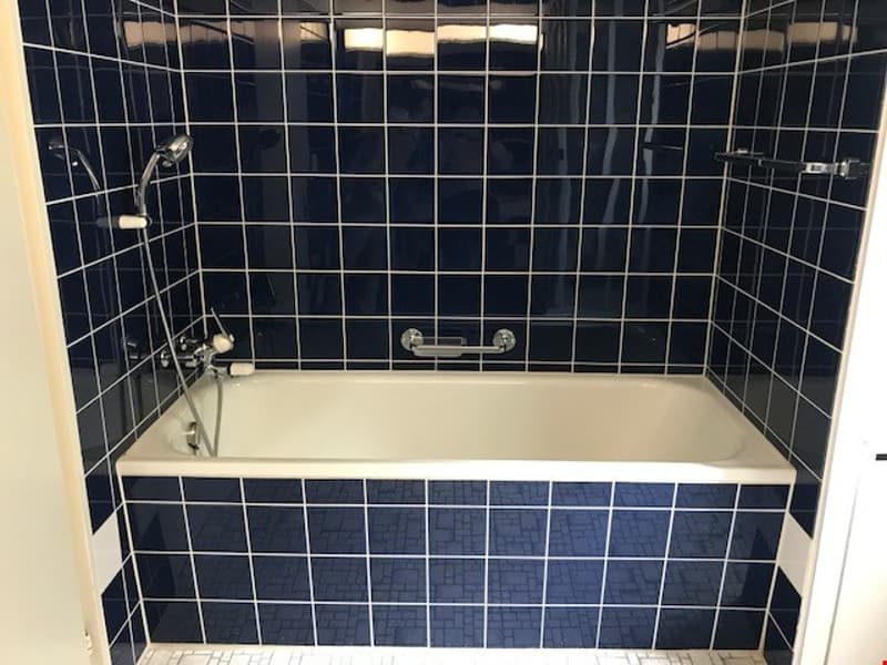 Bathroom with bathtub, shower, and blue tiles
