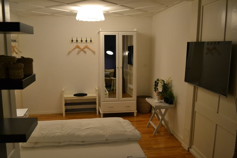 single bed, white bedding, bedside tables, cabinet with mirror, TV, plant