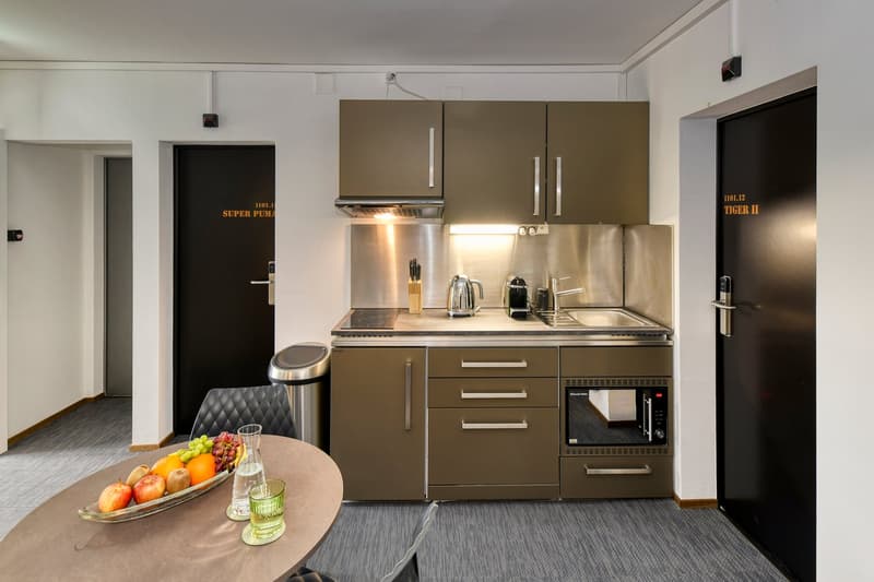 neu renoviertes, möbliertes Apartment "F/A-18" in Emmenbrücke (4)