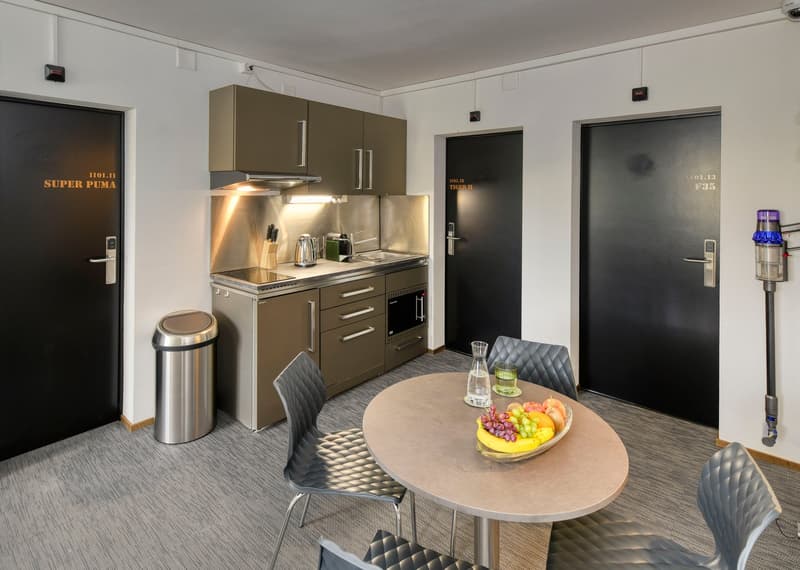 Appartement "F35" rénové et meublé à Emmenbrücke (4)