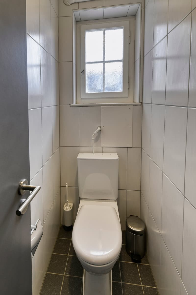 Newly renovated, furnished apartment "Tiger II" in Emmenbrücke (7)