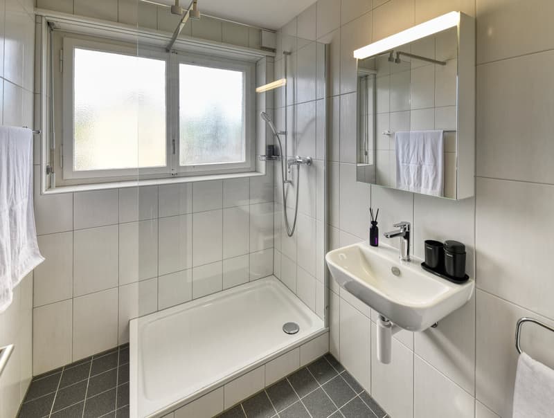 Newly renovated, furnished apartment "Tiger II" in Emmenbrücke (6)