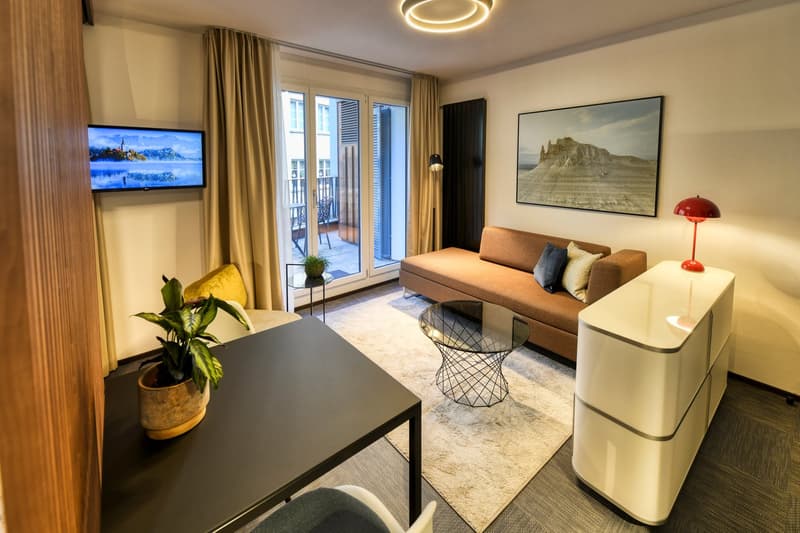Neues möbliertes 2-Zimmer-Apartment an sehr zentraler Lage in Altdorf (6)