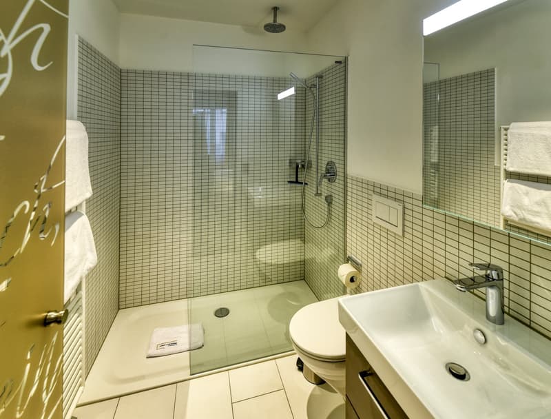 Neues möbliertes 2-Zimmer-Apartment an sehr zentraler Lage in Altdorf (12)
