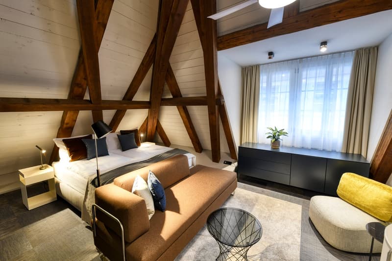 Nouveau loft mansardé meublé dans un emplacement très central à Altdorf (1)
