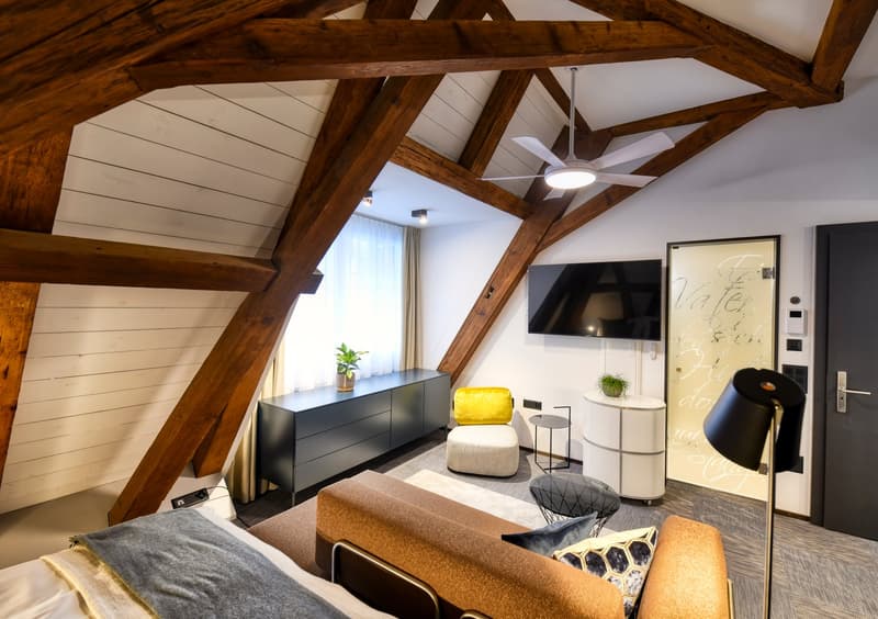 Nouveau loft mansardé meublé dans un emplacement très central à Altdorf (5)