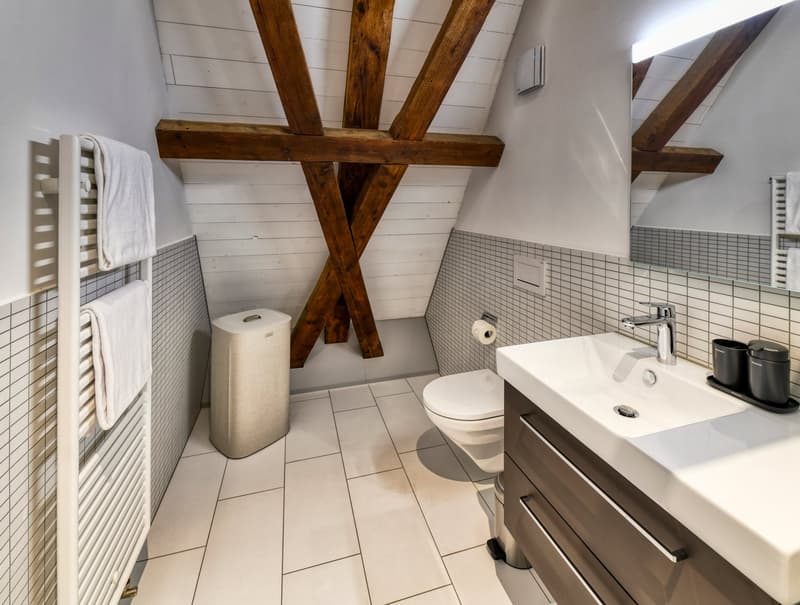 Nouveau loft mansardé meublé dans un emplacement très central à Altdorf (13)