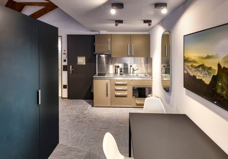 Nouveau loft mansardé meublé dans un emplacement très central à Altdorf (10)