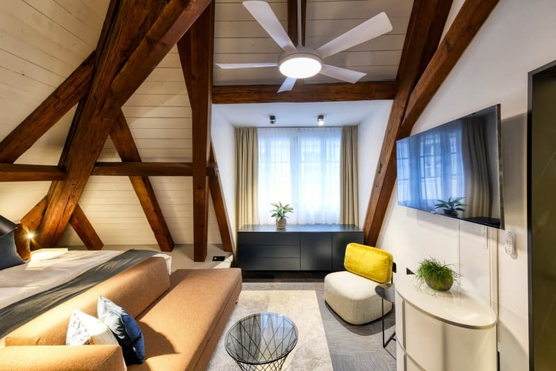 Nouveau loft mansardé meublé dans un emplacement très central à Altdorf (2)