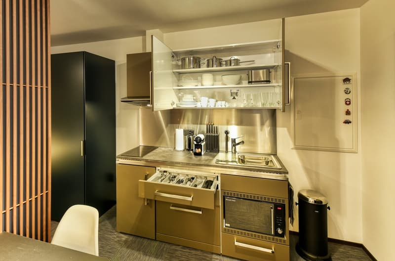Neues möbliertes 2-Zimmer-Apartment an sehr zentraler Lage in Altdorf (5)