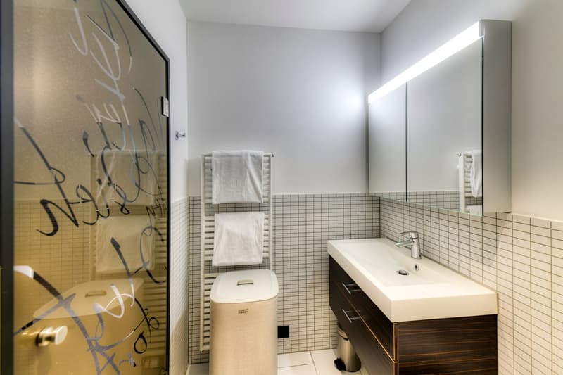 New furnished 2-room apartment in a very central location in Altdorf (13)