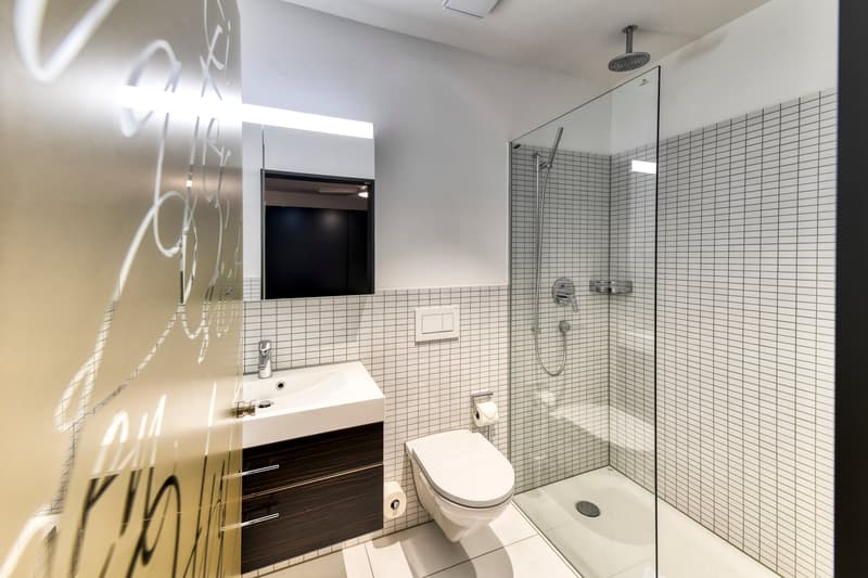New furnished 2-room apartment in a very central location in Altdorf (12)