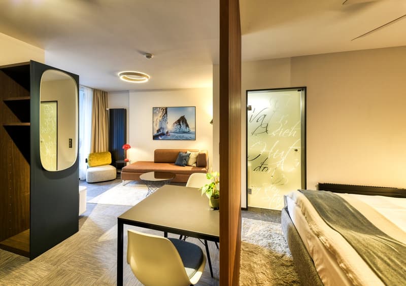 New furnished 2-room apartment in a very central location in Altdorf (11)