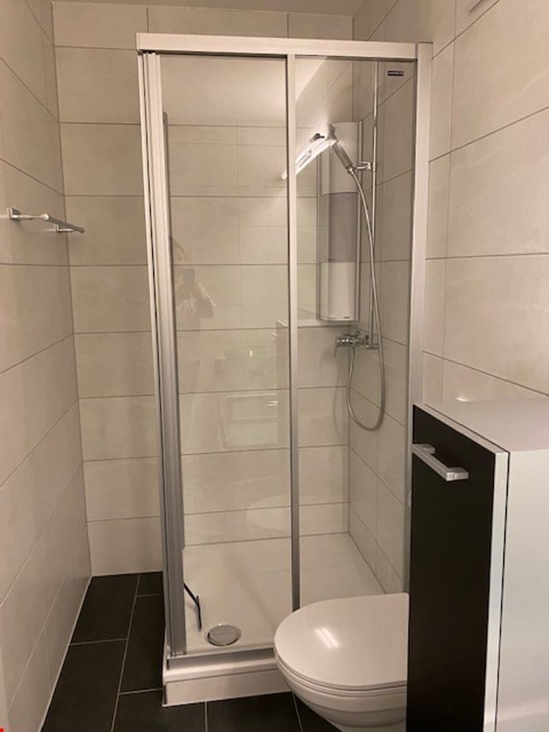 Modern, furnished studio in Hergiswil for rent (5)