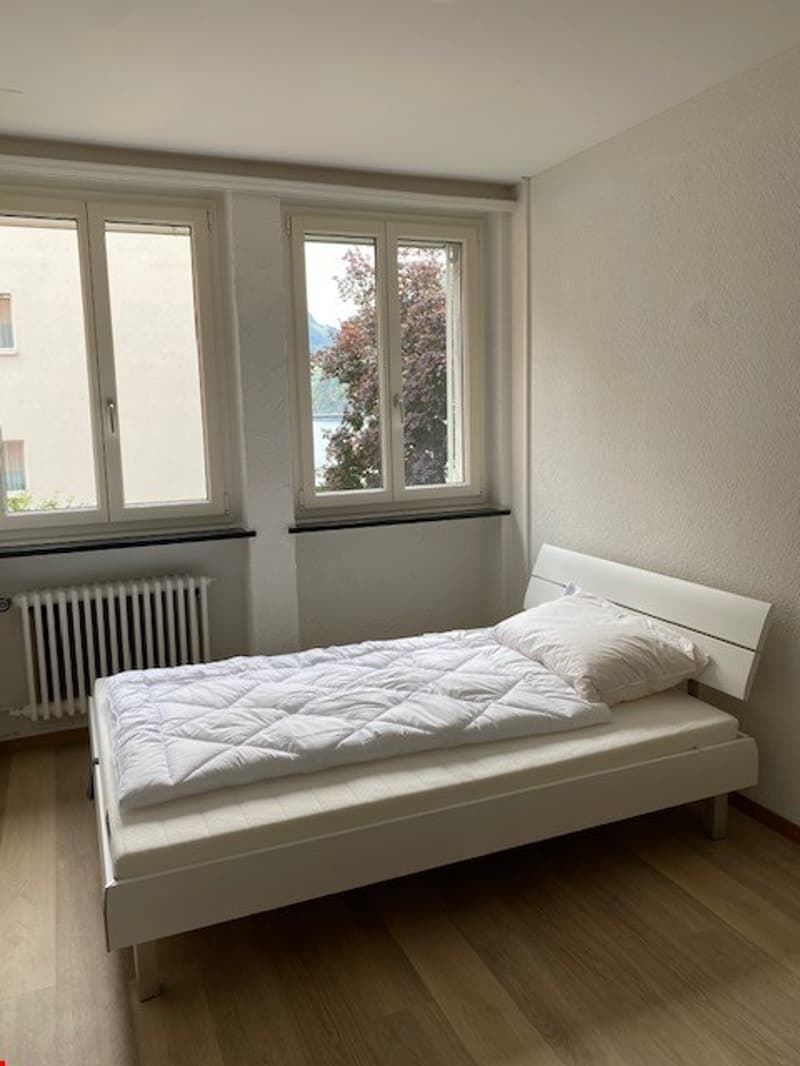 Modern, furnished studio in Hergiswil for rent (2)