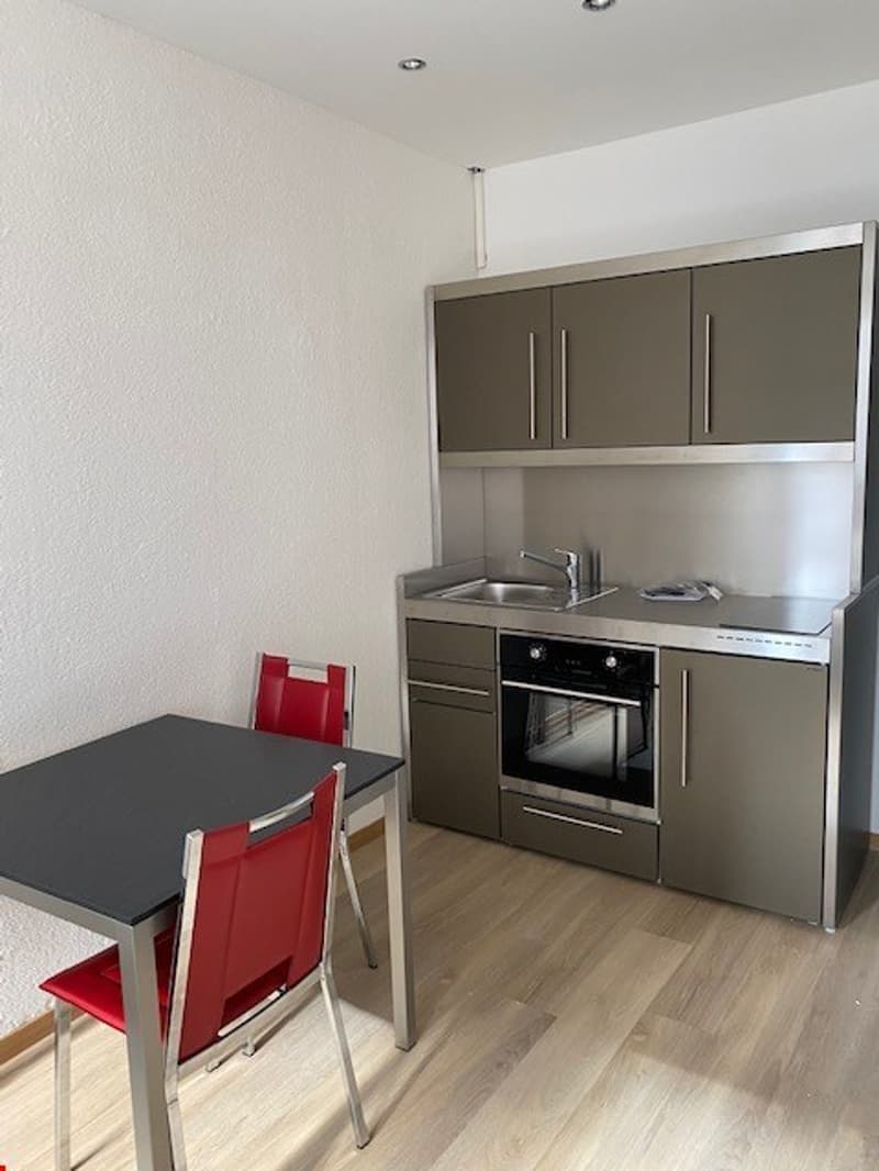Studio moderne meublé à Hergiswil à louer (1)