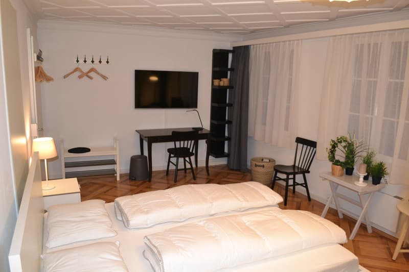 Bedroom with two beds, desk, TV, lamp, table, chairs, plants, cabinet, trash bin, hanging coats