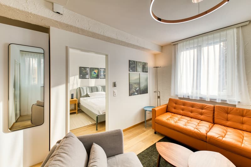 Modernes, möbliertes 2-Zimmer-Apartment in Hergiswil/NW zu vermieten (3)