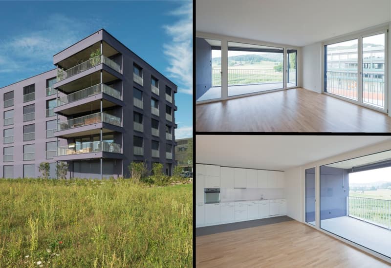 Appartement moderne 3.5 pièces - Kreuzäcker Spreitenbach (1)