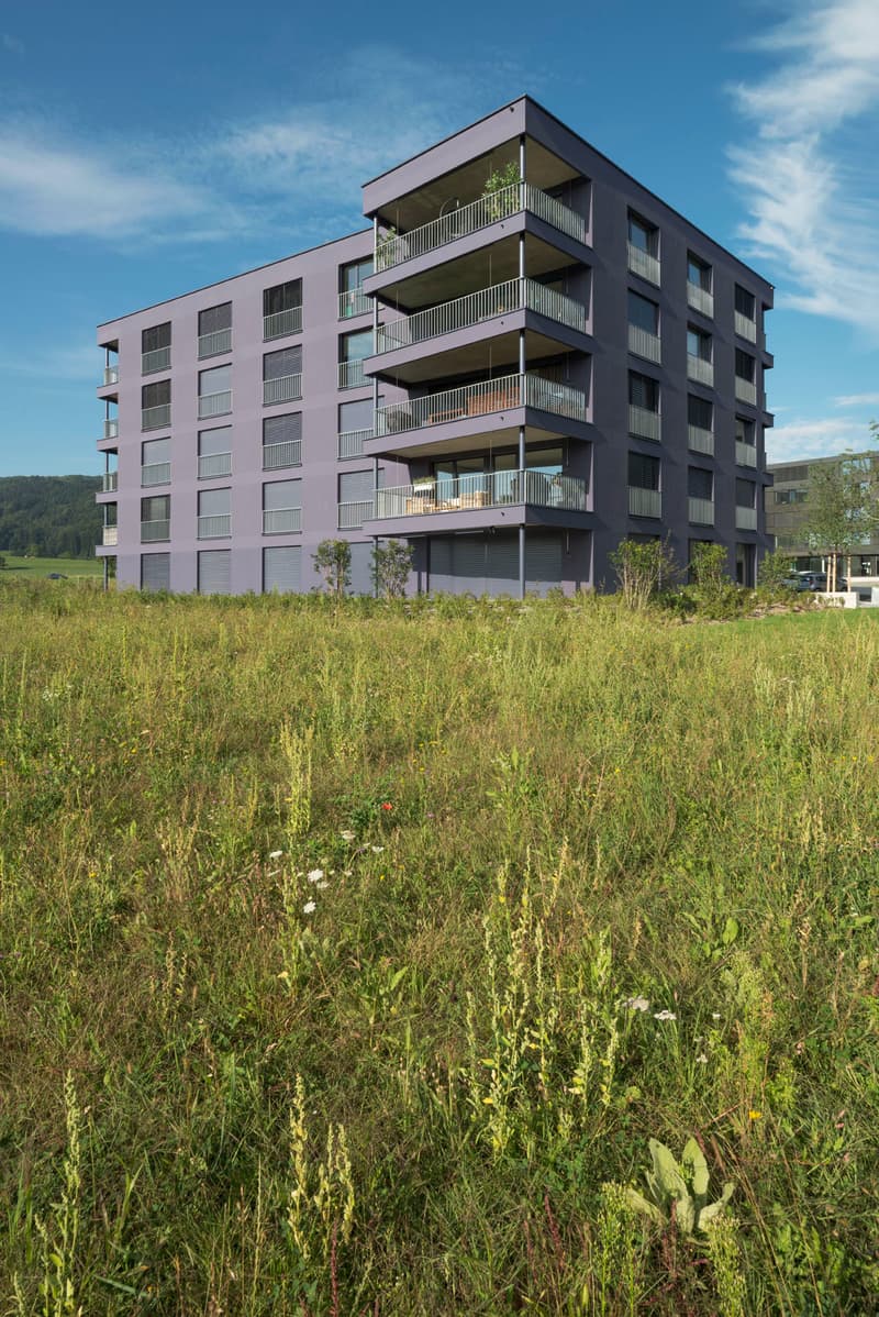 Appartement moderne 3.5 pièces - Kreuzäcker Spreitenbach (4)