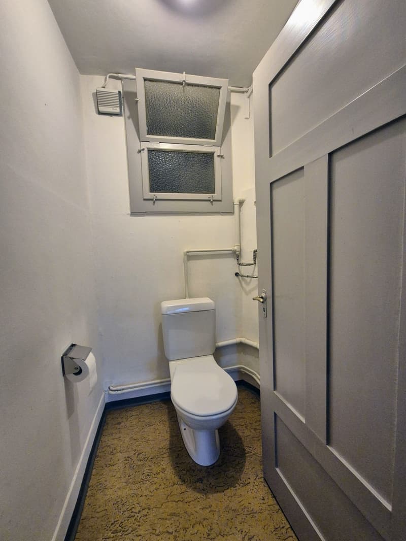 Appartamento di charme 4.5 locali in un edificio storico cerca nuovi residenti (10)
