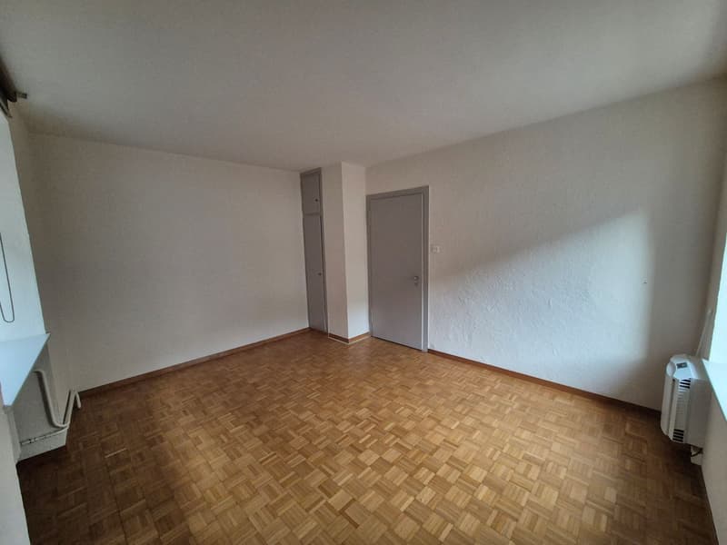 Appartamento di charme 4.5 locali in un edificio storico cerca nuovi residenti (8)