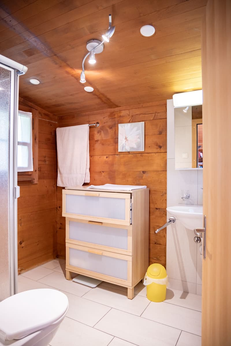 Studio accogliente nel pittoresco Verdasio (4)