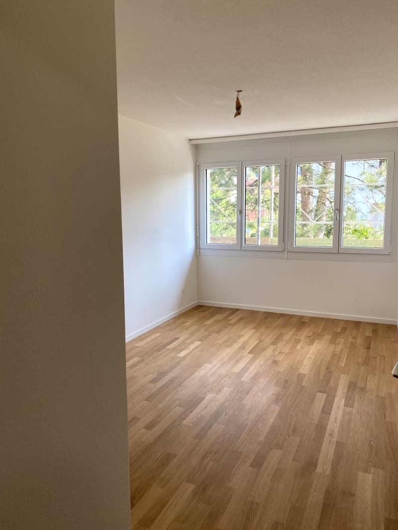 Appartamento maisonette di 4,5 locali luminoso (6)