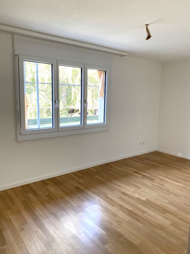 Appartamento maisonette di 4,5 locali luminoso (9)