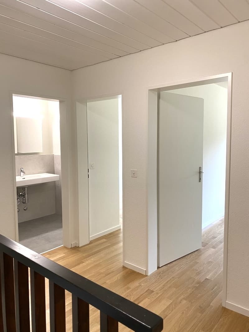 Appartamento maisonette di 4,5 locali luminoso (12)