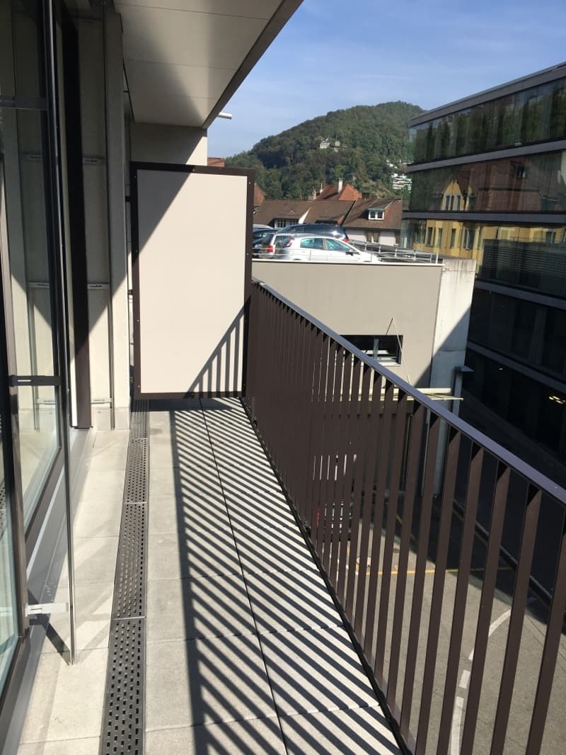 klein aber fein - Studiowohnung im Herzen von Baden (8)