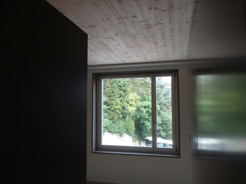 klein aber fein - Studiowohnung im Herzen von Baden (2)