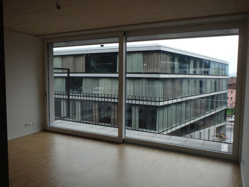 klein aber fein - Studiowohnung im Herzen von Baden (5)