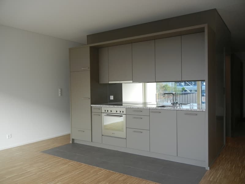 klein aber fein - Studiowohnung im Herzen von Baden (1)