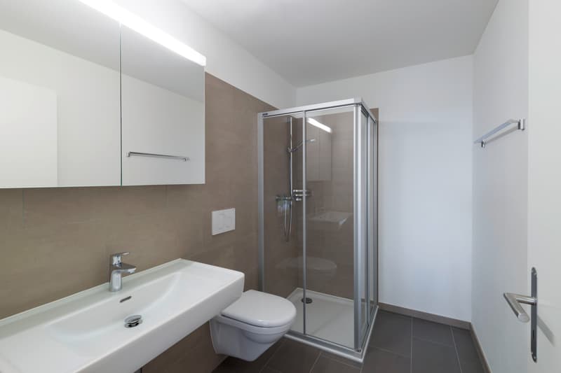 Moderne 3.5-Zimmer-Wohnung in dynamischen Quartier (5)