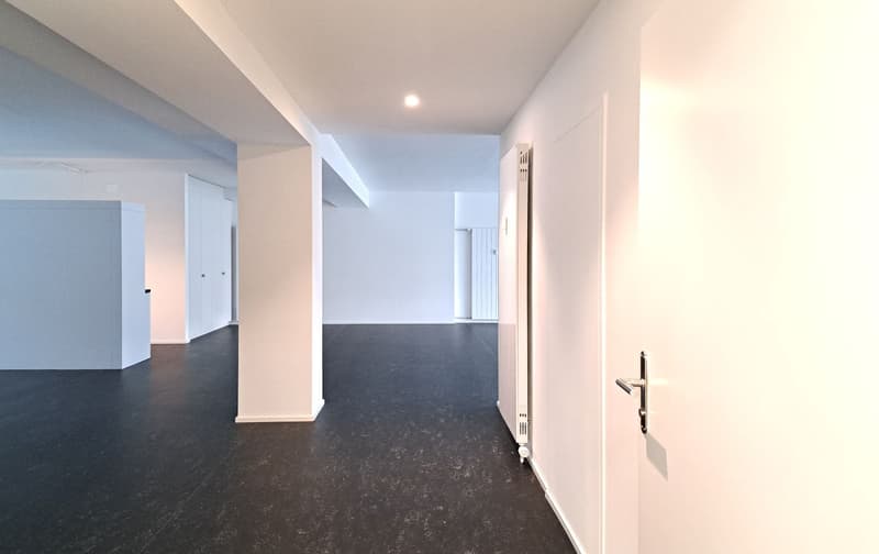 Büro / Loft / Wohnung 129m² - mitten in der Stadt Baden (10)