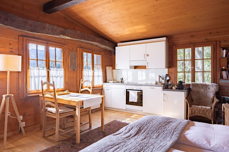 Gemütliches Studio im idyllischen Verdasio (1)