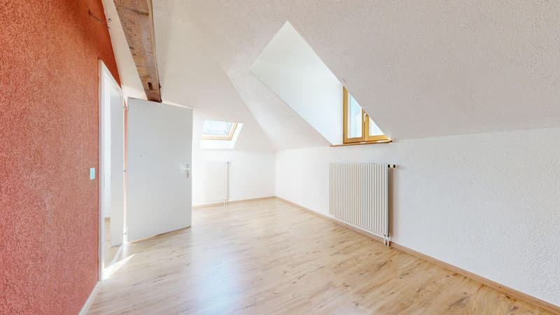 Maison multifamiliale de 2 appartements à saisir (7)