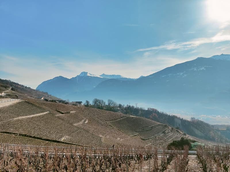 Stunning 5.5-room villa with breathtaking views in Lens (VS) (2)