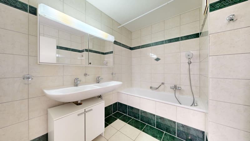 Spacious 4.5-room duplex (7)